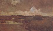 Vincent Van Gogh Marshy Landscape (nn04) oil painting reproduction